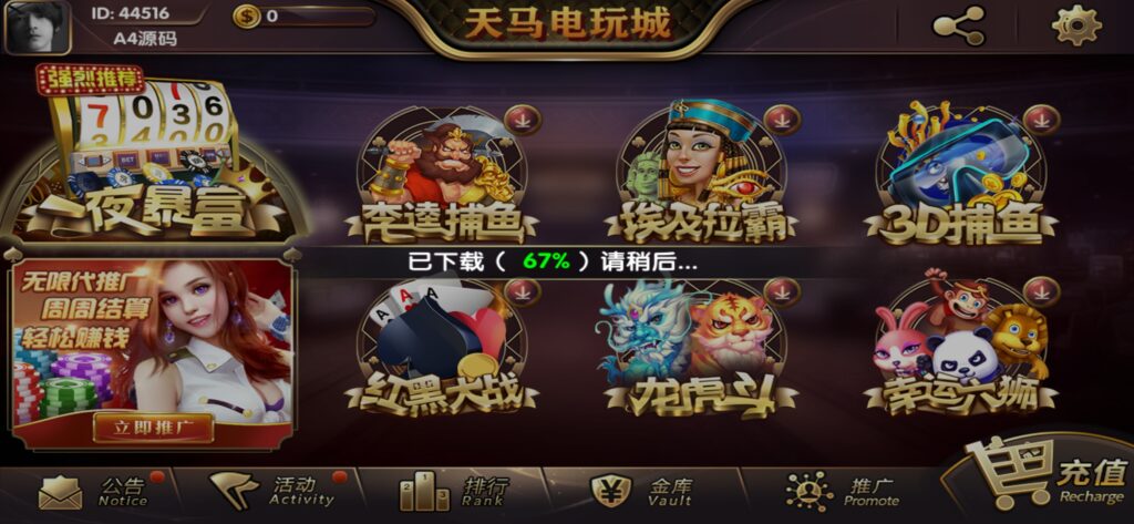 图片[2]-【组件+授权工具】最新一夜暴富天马电玩城完美服务器打包版本+完整数据+游戏众多-源码交易网