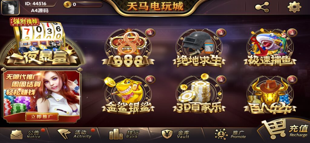 图片[4]-【组件+授权工具】最新一夜暴富天马电玩城完美服务器打包版本+完整数据+游戏众多-源码交易网