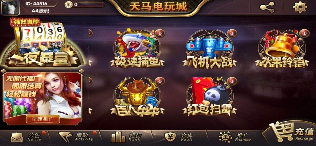 图片[6]-【组件+授权工具】最新一夜暴富天马电玩城完美服务器打包版本+完整数据+游戏众多-源码交易网