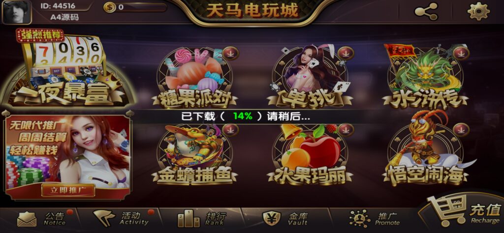 图片[5]-【组件+授权工具】最新一夜暴富天马电玩城完美服务器打包版本+完整数据+游戏众多-源码交易网